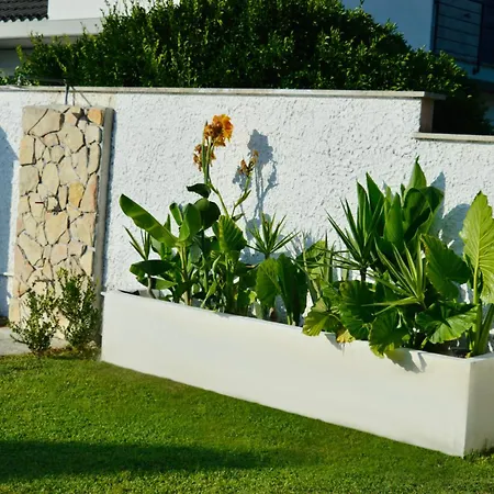 Domus Aurea - Intero Ed Indipendente Con Giardino