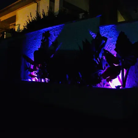 Domus Aurea - Intero Ed Indipendente Con Giardino Apartment